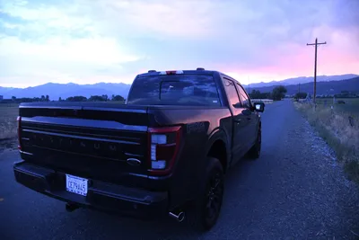 DSC_1853 (Large).JPG